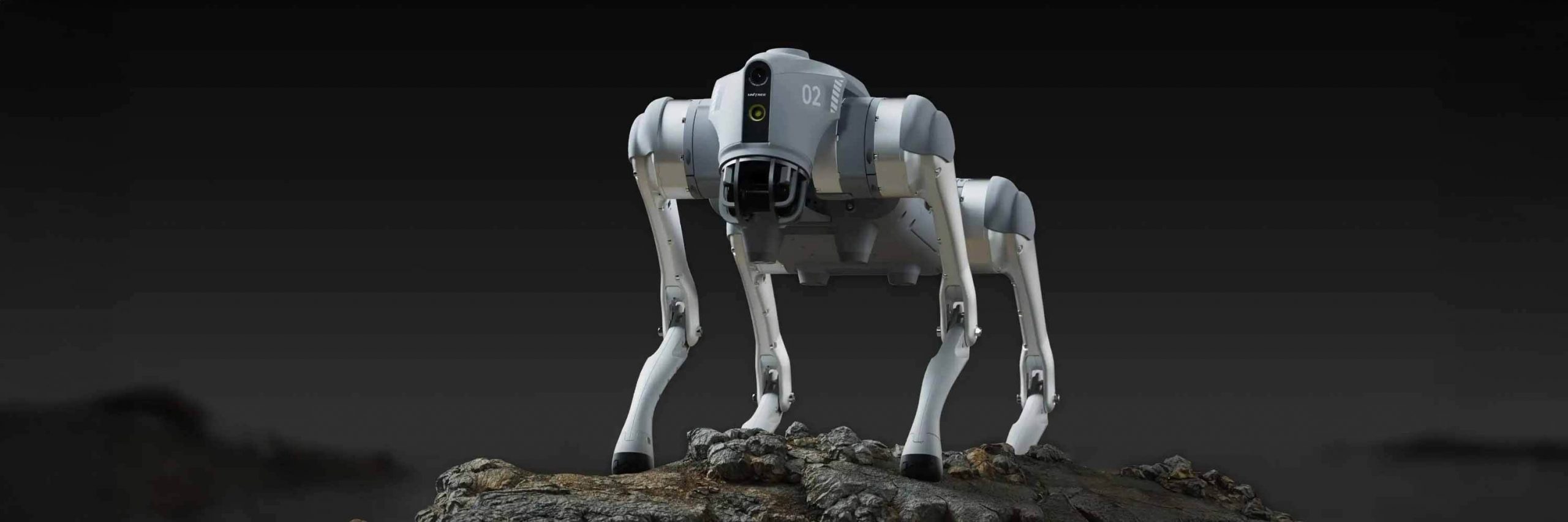 宇树科技：赋能智能机器人的视觉 AI