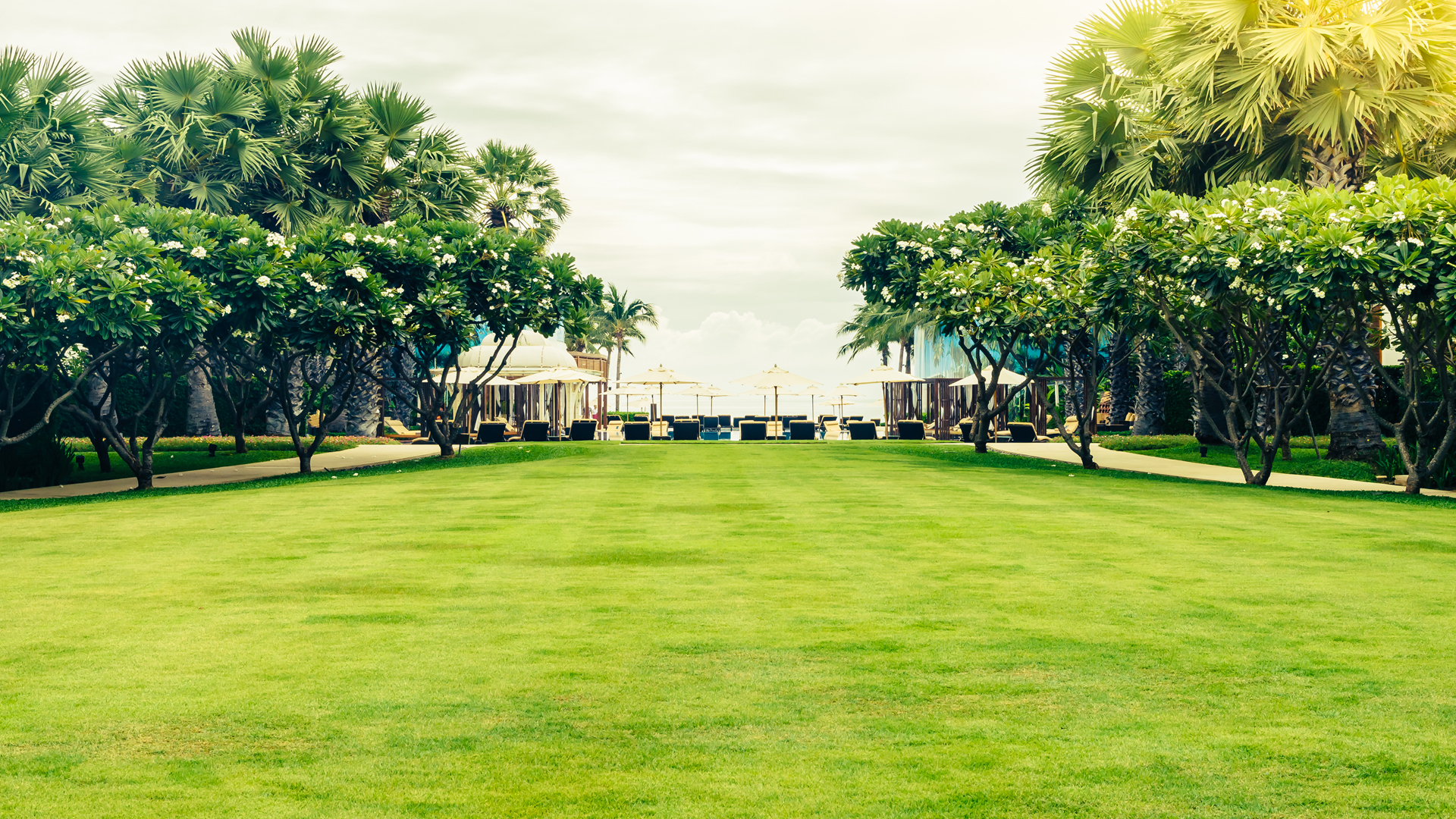 Looking Glass and RealSense Depth Cameras